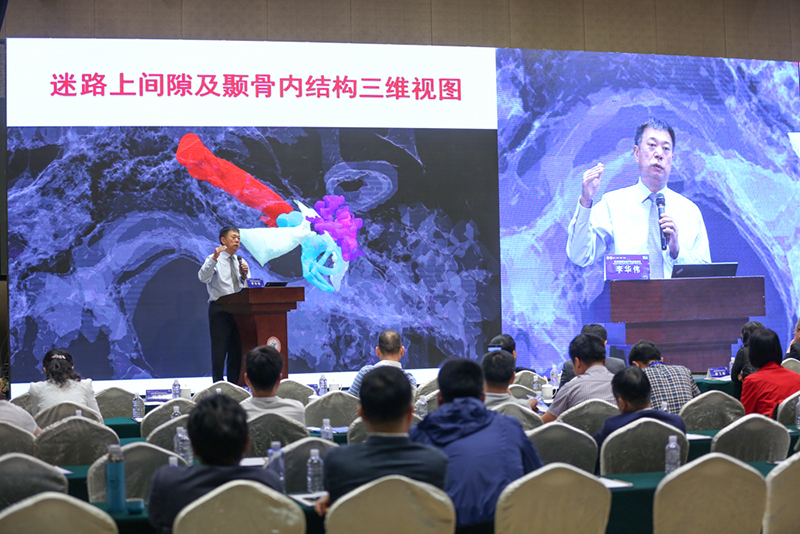 微信图片_20180504112902.jpg