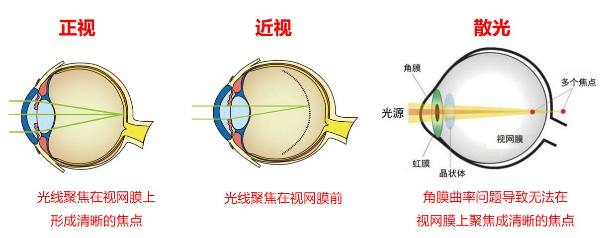 1762149113376035.png 1762149113376035.png