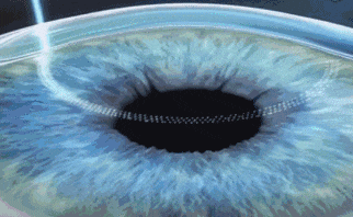 1788222213799240.gif 641.gif