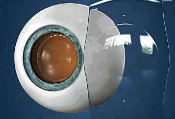 1788222233168560.gif 640.gif